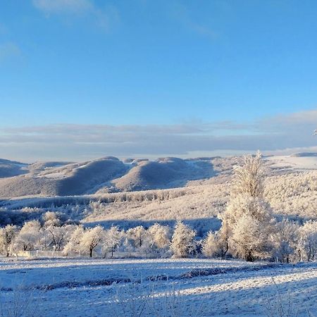 Nature Homestay Trenčín Buitenkant foto