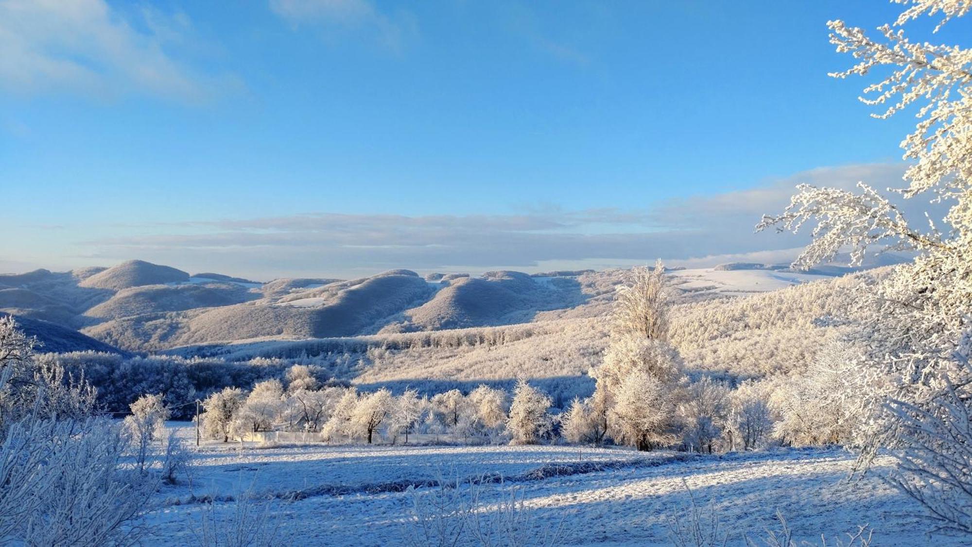 Nature Homestay Trenčín Buitenkant foto